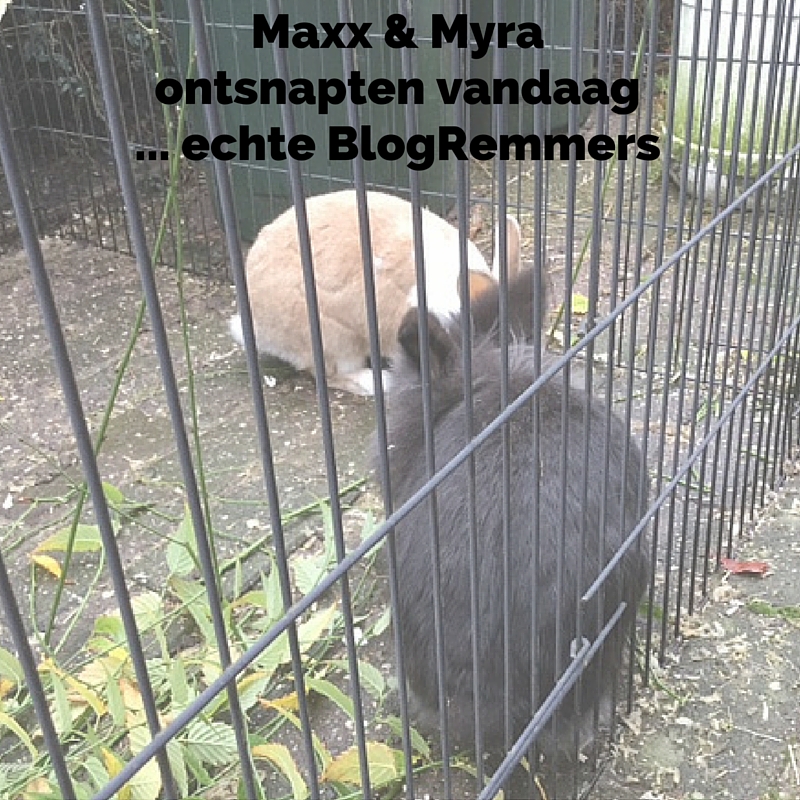 BA-B1610_Maxx&Myra