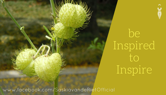Be Inspired to Inspire