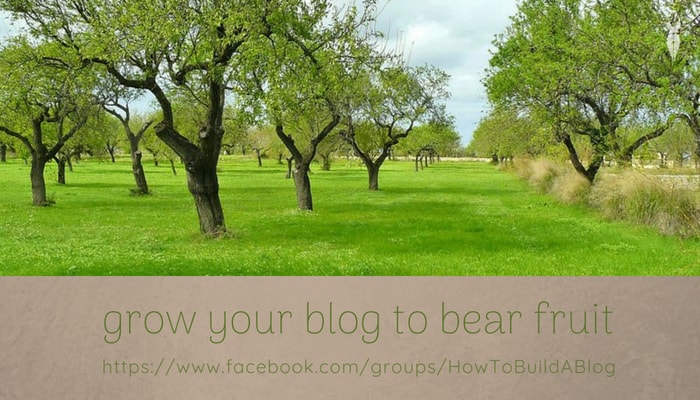 Why Blog to bear fruit